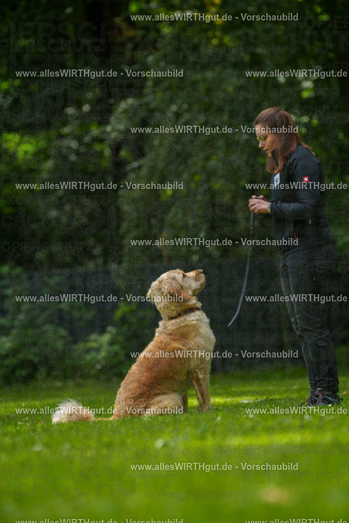 @allesWIRTHgut_Tierfotografie - www.allesWIRTHgut.de - 7R501547 | Professionelle Tierfotografie in Mönchengladbach von Daniel Wirth (allesWIRTHgut). Liebevolle & natürliche Bilder von Hunden & Katzen für unvergessliche Erinnerungen.
