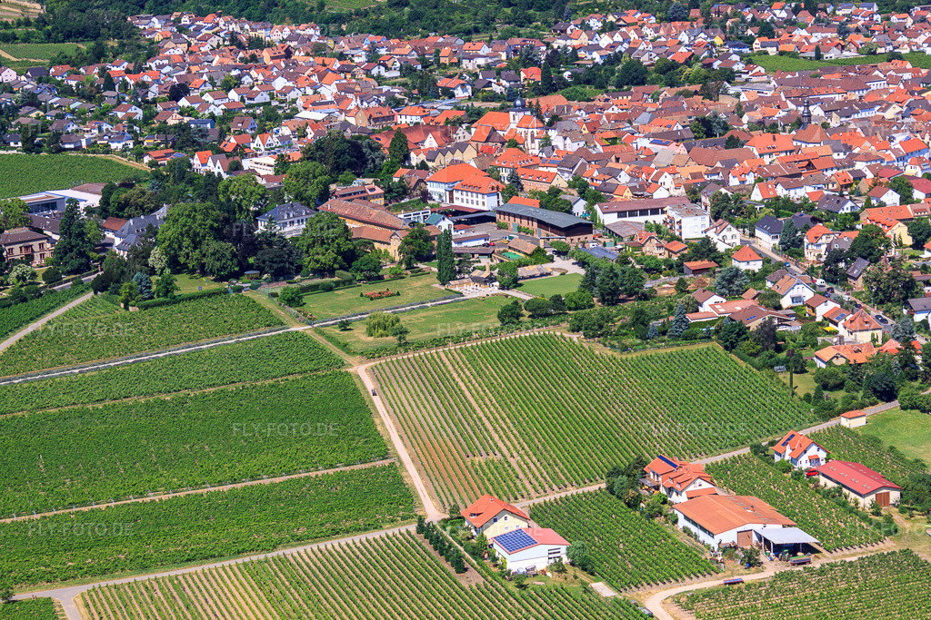 Luftbild: Gebäude und Parkanlagen am Weingut Dr. Bürklin-Wolf in Wachenheim an der Weinstraße im Bundesland Rheinland-Pfalz in Deutschland. Foto: IMG_30145.jpg vom 05.07.2010 durch Werner Riehm/FLY-FOTO.deWeingut Dr. Bürklin Wolf: Weingut Dr. Bürklin-Wolf