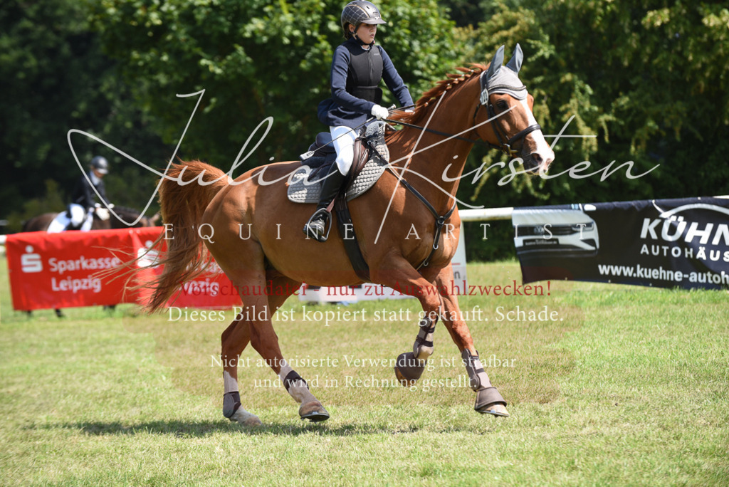 DSC_0083 | Pferde- und Turnierfotografie in Westsachsen. Pferdeportraits, Auftragszeichnungen und intuitive Kunst.