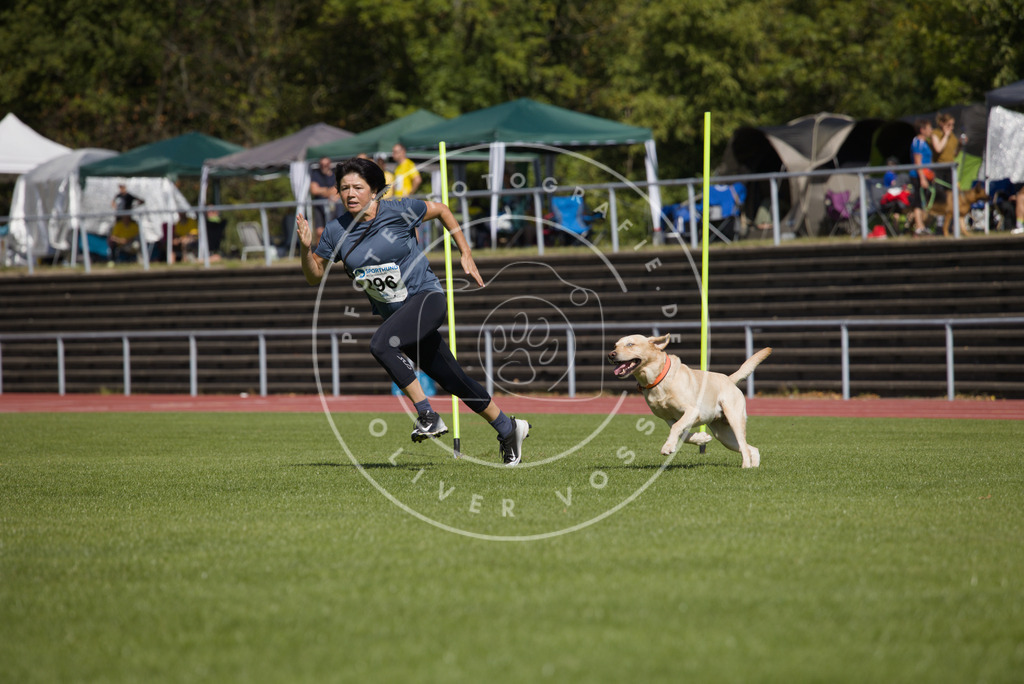 0L8A7096 | Hundefotografie, Tierfotograf, Pfotenfotografie, Fotoshooting Hund, Hunde Portrait, Hundesport, Hundeportraits, Heideshooting, Hunde, Sportfotograf, Hundefotograf, Turnierhundsport, THS,  - Realisiert mit Pictrs.com