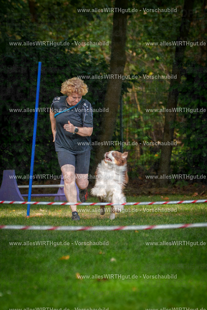 THS_Turnier_27-09-2026-allesWIRTHgut_Tierfotografie-7R506875 | Professionelle Tierfotografie in Mönchengladbach von Daniel Wirth (allesWIRTHgut). Liebevolle & natürliche Bilder von Hunden & Katzen für unvergessliche Erinnerungen.