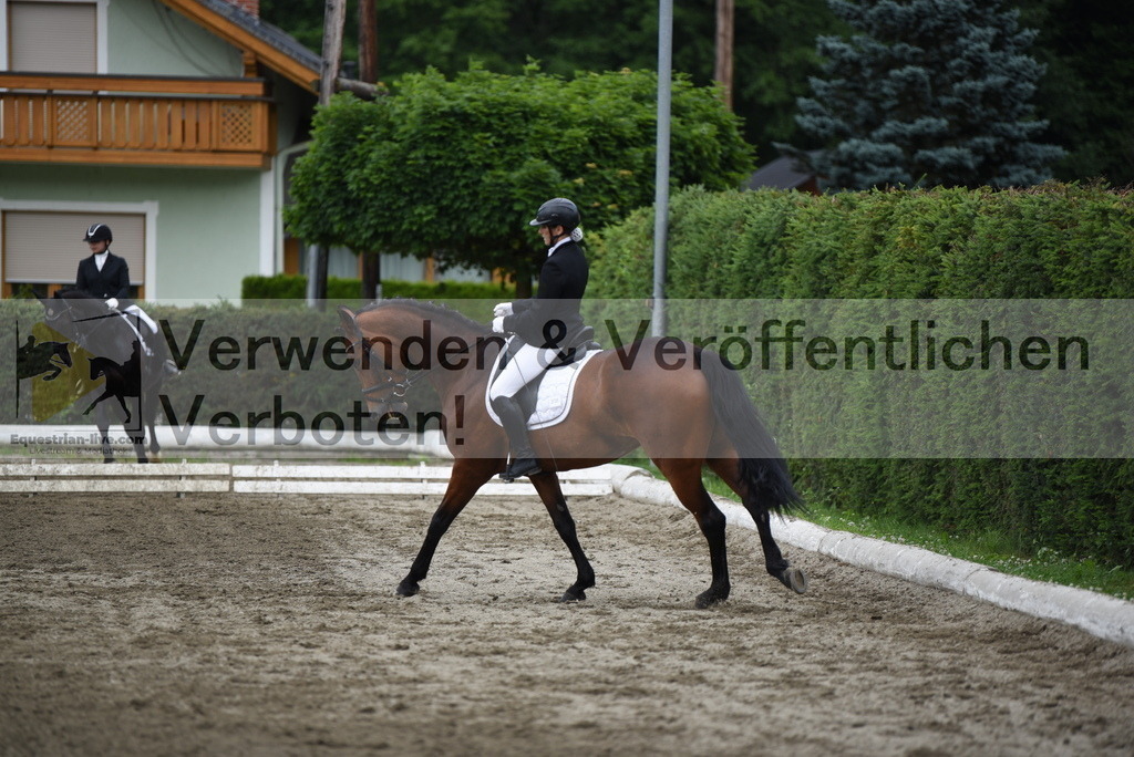 DSC_4784 | equestrian-live-com