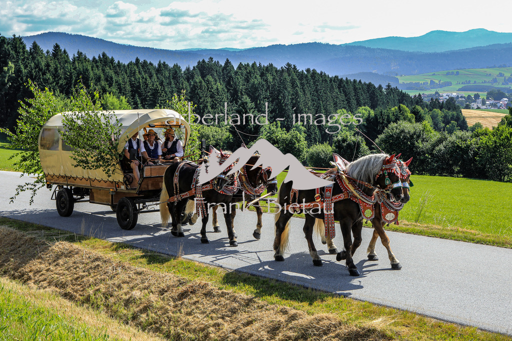 OE7A9697 | Medien- Sport- Entertainmentfotos