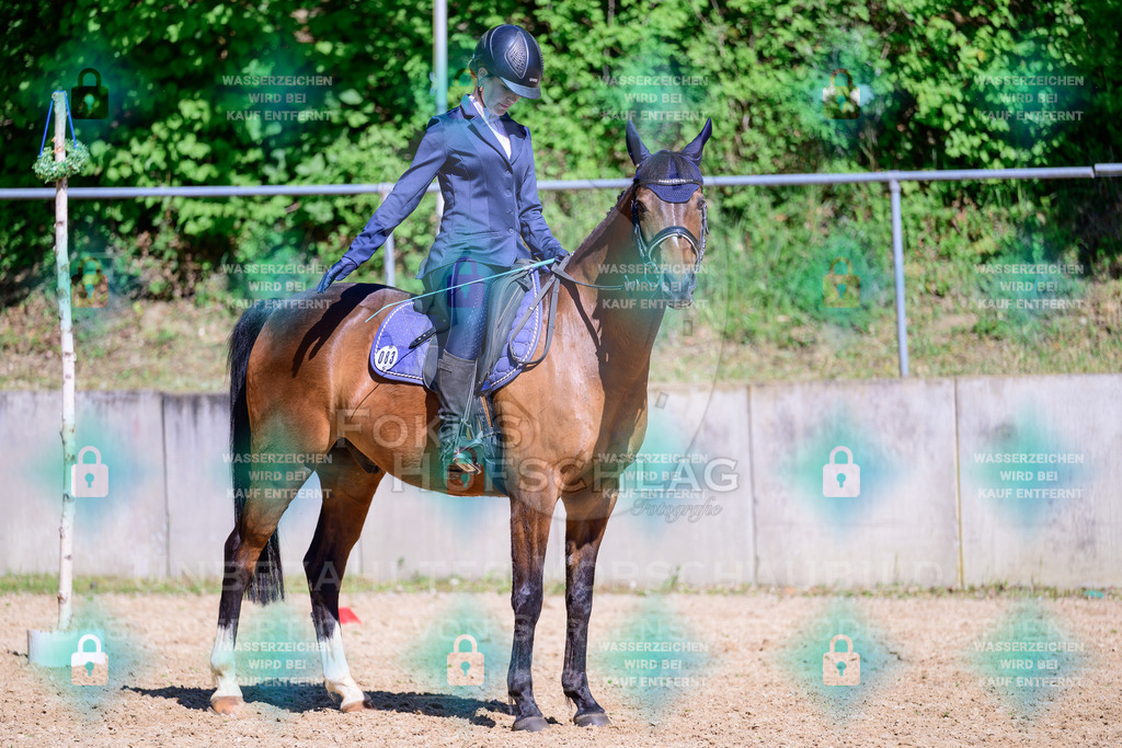 01052026-Giesenbach-02-Stiltrail-0579 | Fokus Hufschlag Fotografie - Realisiert mit Pictrs.com