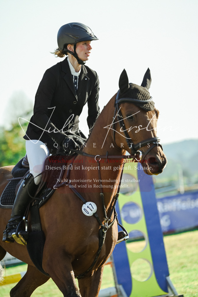DSC_4305 | Pferde- und Turnierfotografie in Westsachsen. Pferdeportraits, Auftragszeichnungen und intuitive Kunst.