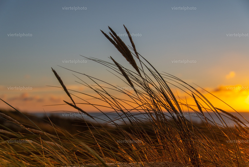 Sonnenuntergang in der Düne | Motiv mit Rahmen - Realisiert mit Pictrs.com