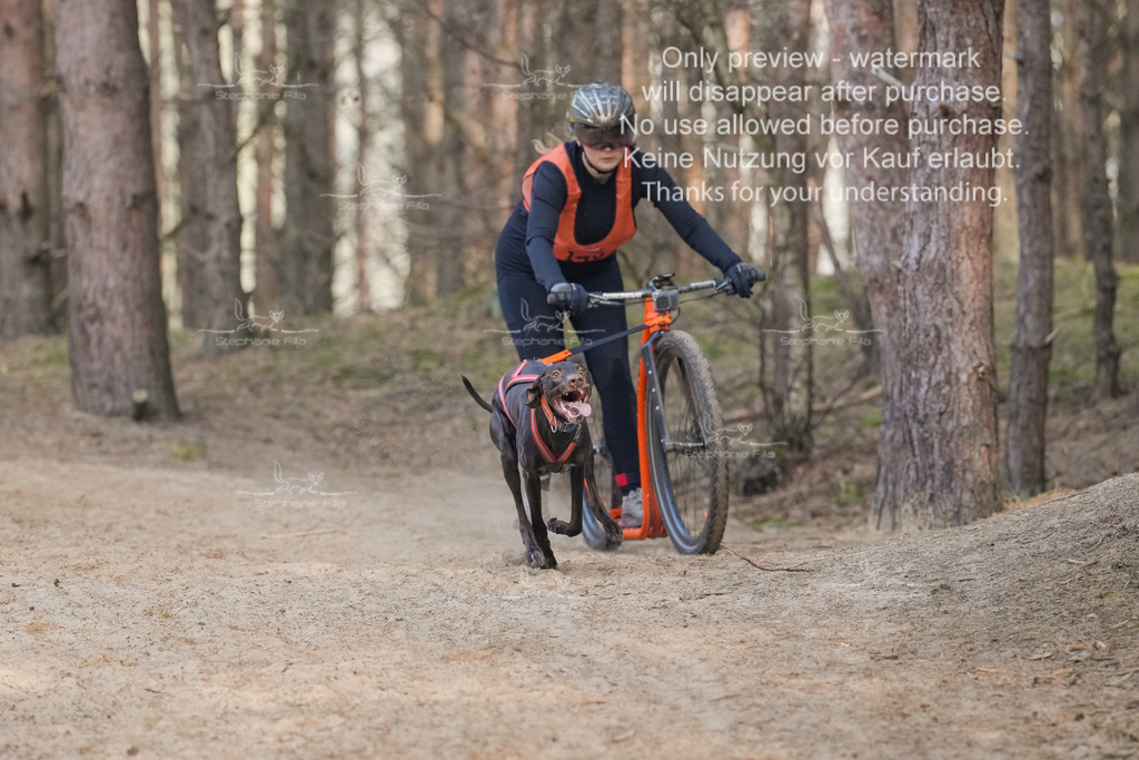 Scooter2-28 | stephaniefillaphotographie - Realisiert mit Pictrs.com