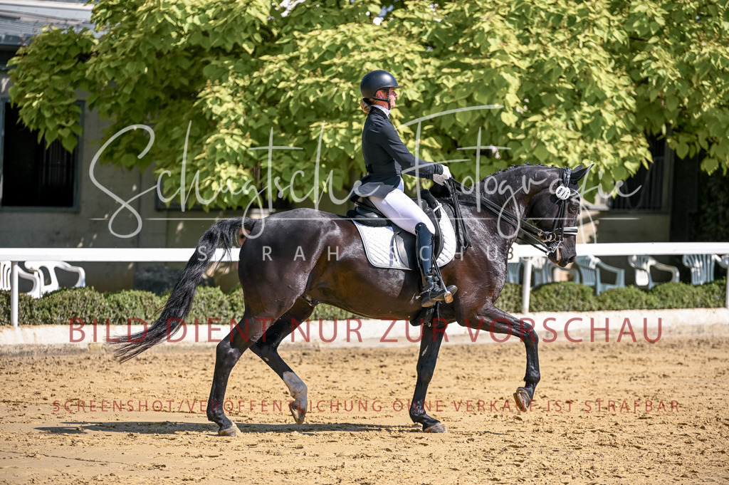 Schugtsche-Aluta25-52.Dressurprf.M2Kand-480 | Schugtsche Fotografie - Realisiert mit Pictrs.com