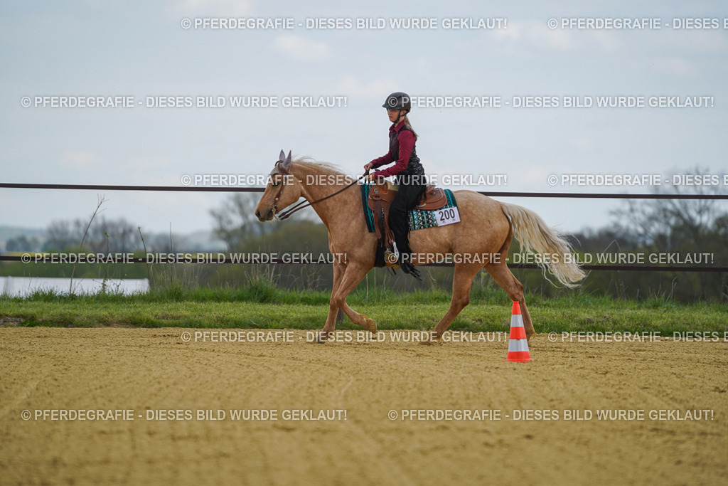 DSC05744 | Pferdegrafie