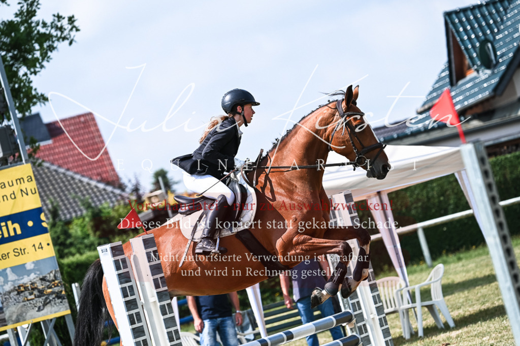 DSC_8684 | Pferde- und Turnierfotografie in Westsachsen. Pferdeportraits, Auftragszeichnungen und intuitive Kunst.