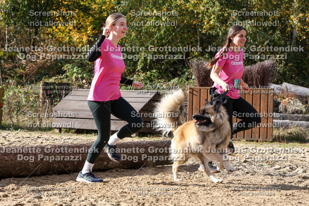 Dog Paparazzi - Strongdog 10-25-5807 | Dog Paparazzi Jeanette Grottendiek Fotografie & Videografie - Realisiert mit Pictrs.com