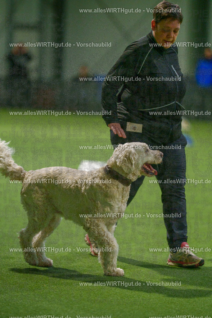7R504323 | Professionelle Tierfotografie in Mönchengladbach von Daniel Wirth (allesWIRTHgut). Liebevolle & natürliche Bilder von Hunden & Katzen für unvergessliche Erinnerungen.