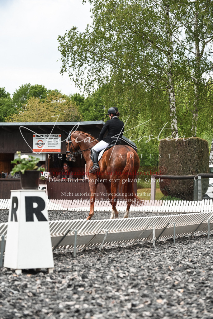 20230514_JK-Röhrsdorf-24-025 | Pferde- und Turnierfotografie in Westsachsen. Pferdeportraits, Auftragszeichnungen und intuitive Kunst.
