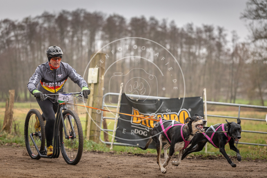 Pfotenfotografie_DV3A3243 | Hundefotografie, Tierfotograf, Pfotenfotografie, Fotoshooting Hund, Hunde Portrait, Hundesport, Hundeportraits, Heideshooting, Hunde, Sportfotograf, Hundefotograf, Turnierhundsport, THS,  - Realisiert mit Pictrs.com