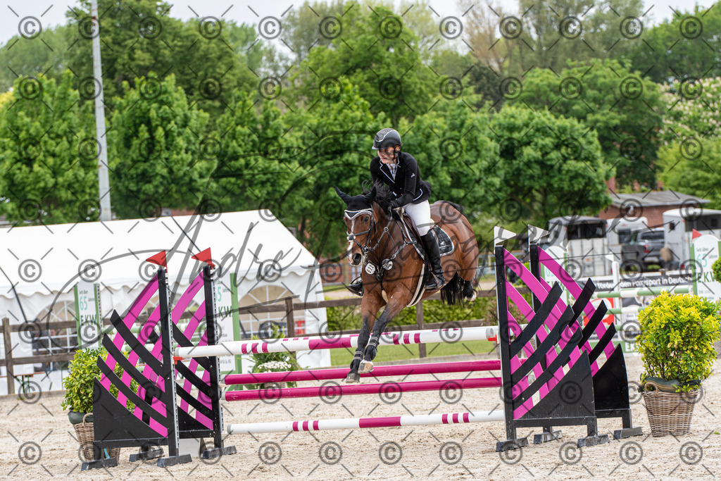 KPT_8510 | andre_photographic