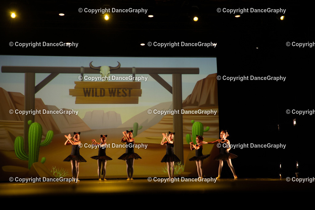 GPHY4246 | DanceGraphy - Realisiert mit Pictrs.com