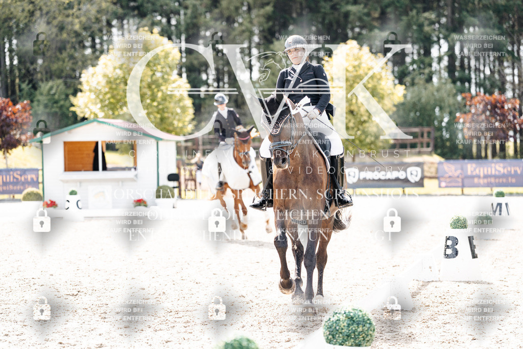 CK901019 | Turnierfotografie Pferdefotografie Trier Rheinland-Pfalz Pferdesport Reitsport Tierfotografie Sportfotografie Pferdevideo Pferdevideografie Equestrianvideography equestrianphotography  - Realisiert mit Pictrs.com
