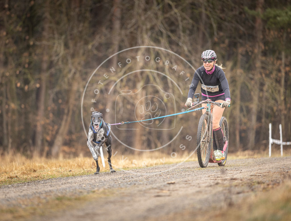 DV3A3159 | Hundefotografie, Tierfotograf, Pfotenfotografie, Fotoshooting Hund, Hunde Portrait, Hundesport, Hundeportraits, Heideshooting, Hunde, Sportfotograf, Hundefotograf, Turnierhundsport, THS,  - Realisiert mit Pictrs.com