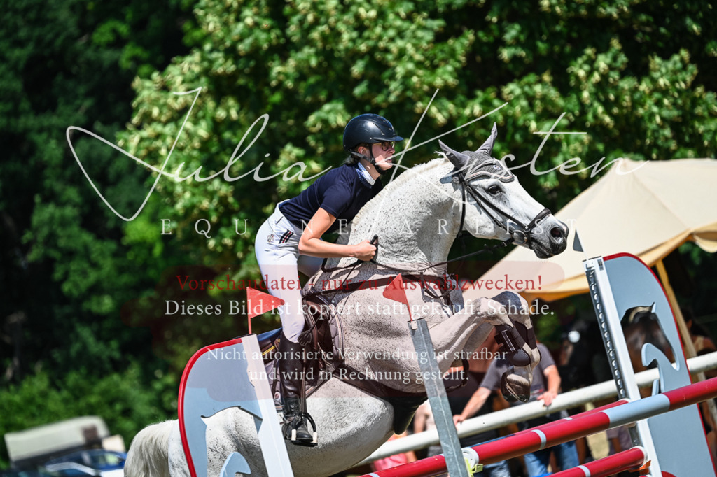 DSC_1105 | Pferde- und Turnierfotografie in Westsachsen. Pferdeportraits, Auftragszeichnungen und intuitive Kunst.