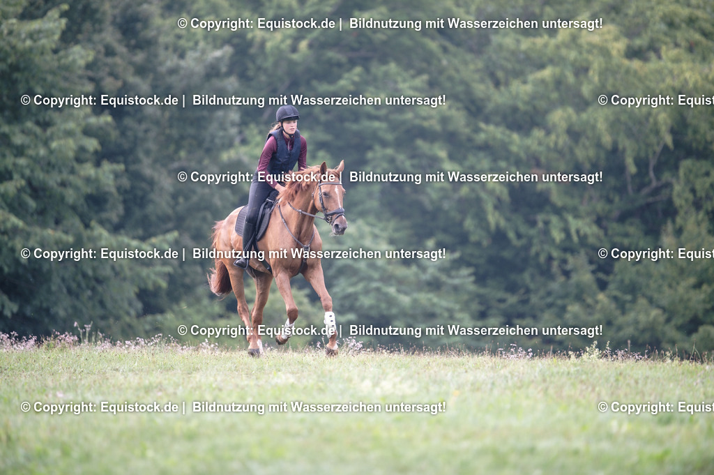 20250726_Vielseitigkeitslehrgang-Marbach_0057 | Foto: Thomas Hartig