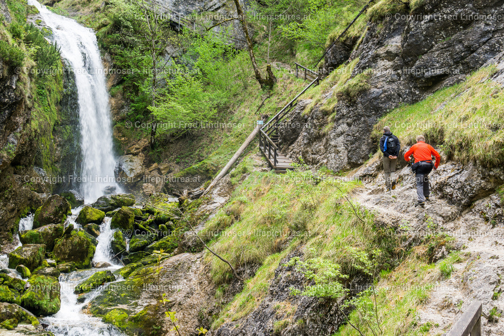 Wasserloch Palfau-02820 | Fotos und Fotoprodukte - Realisiert mit Pictrs.com