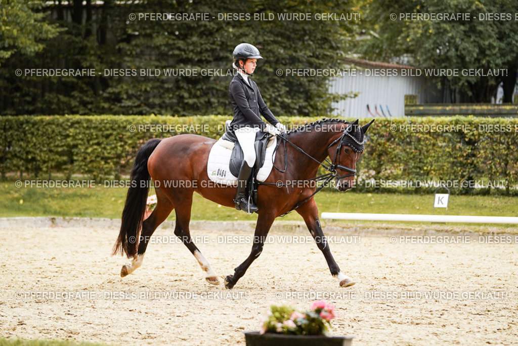 DSC09799 | Pferdegrafie