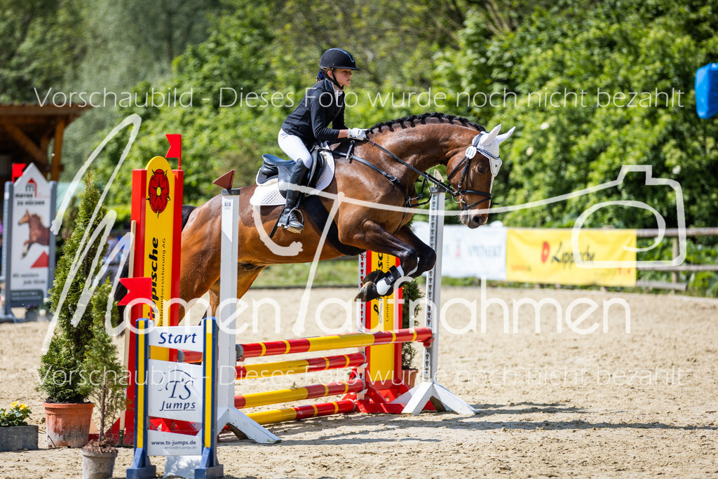 Donop24-SprRW-036 | MomenTaufnahmen Pferdesportfotos