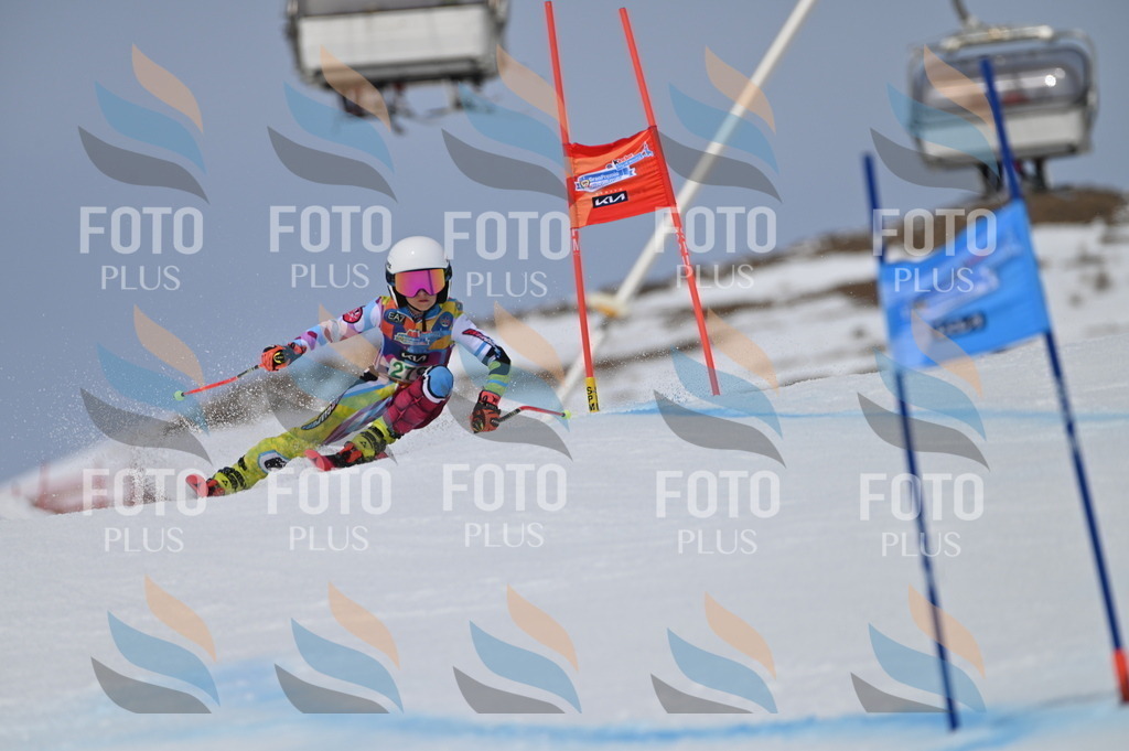 BGV_5540 | holidayphoto