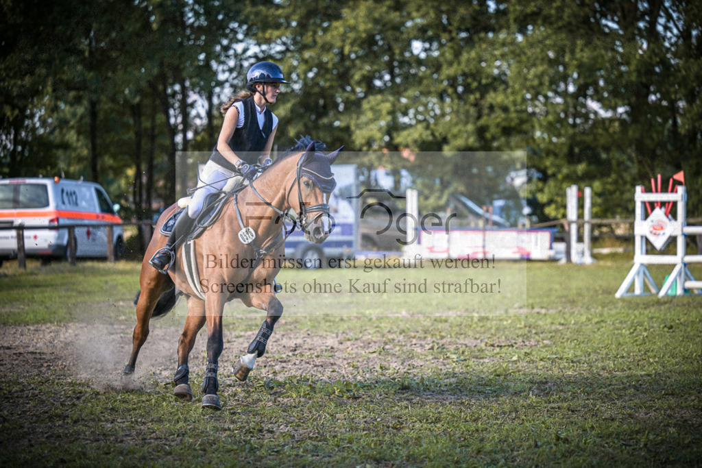 DOS_1079 | Entdecke hochwertige Reitturnierfotos von Foto Oger. Professionell, emotional und authentisch – jetzt Lieblingsmomente im Shop bestellen.Deutschlandweite Turnierfotografie. - Realisiert mit Pictrs.com