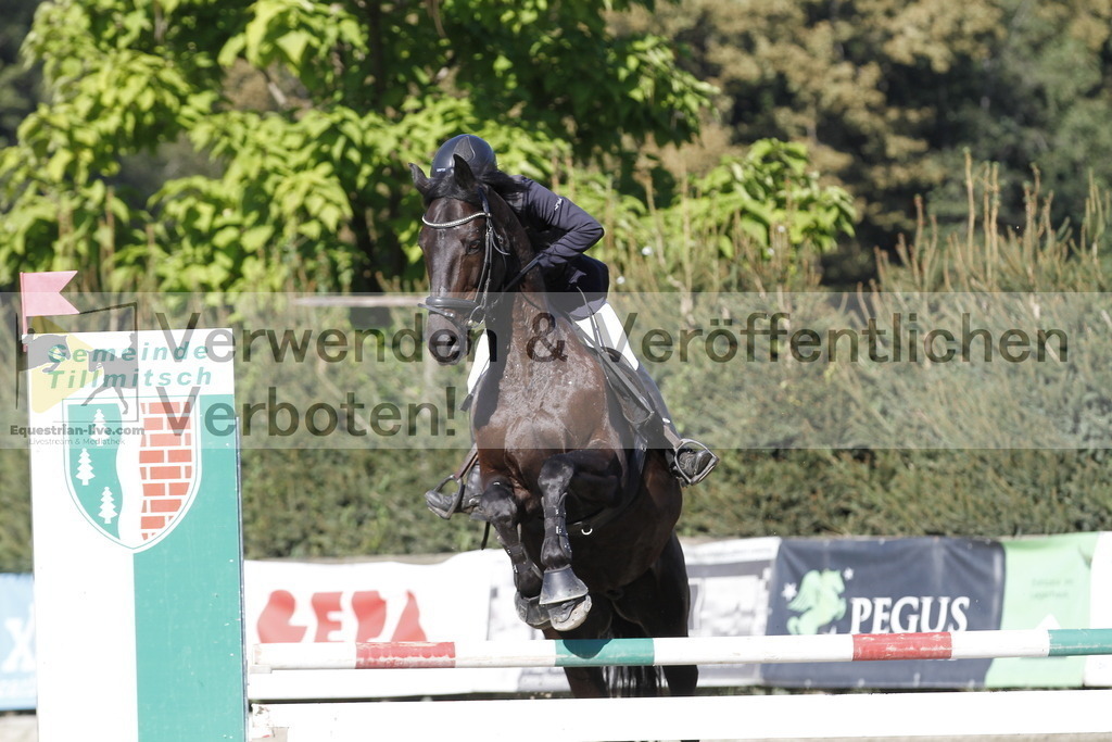 _MG_4911 | equestrian-live-com