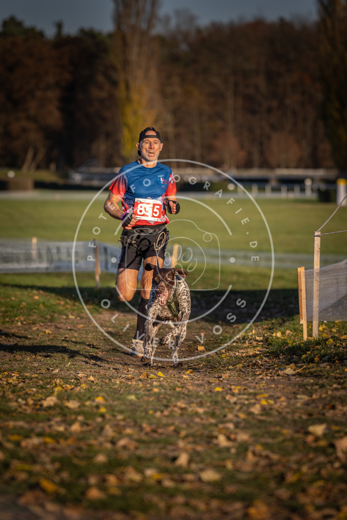 CaniXpix_DV3A3948 | Hundefotografie, Tierfotograf, Pfotenfotografie, Fotoshooting Hund, Hunde Portrait, Hundesport, Hundeportraits, Heideshooting, Hunde, Sportfotograf, Hundefotograf, Turnierhundsport, THS,  - Realisiert mit Pictrs.com
