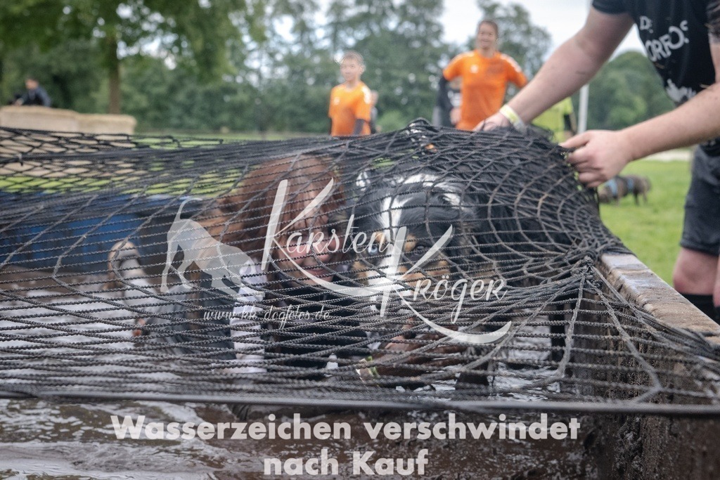 _ZZ93364 | kk-dogfotos