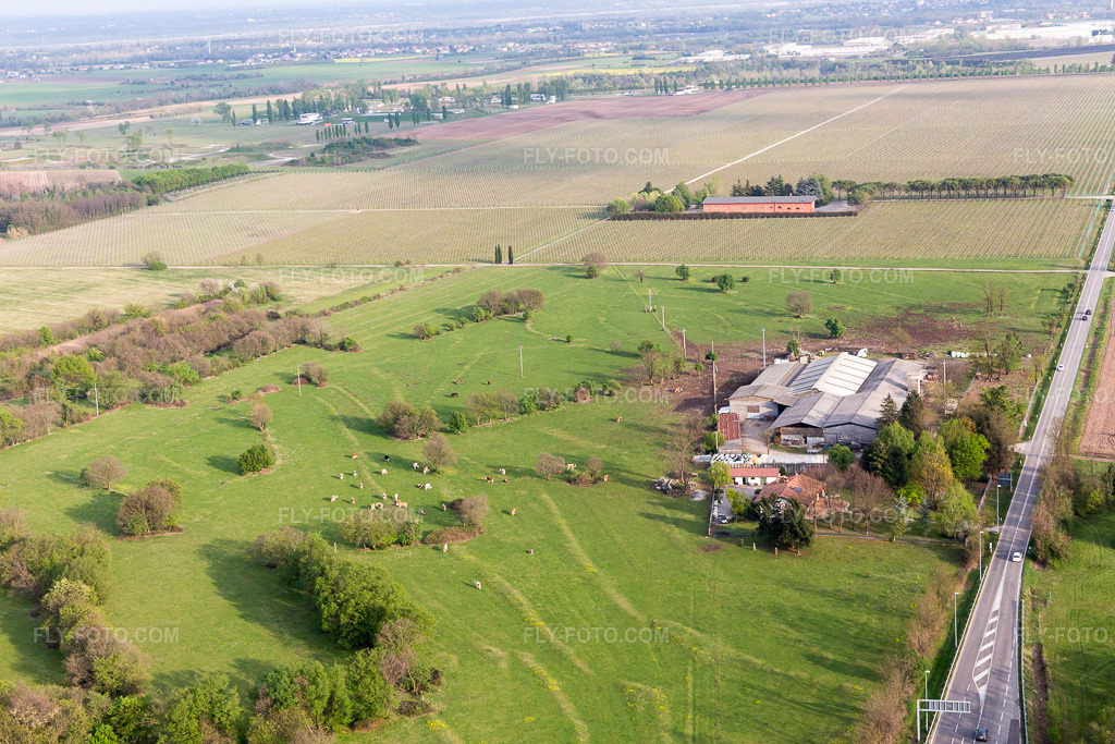 Aerial view: View of the town in Sequals in the state Friuli Venezia Giulia, Italy. – Photo: IMG_098770.jpg taken on 04/07/2017 by Werner Riehm/FLY-FOTO.com – Resolution of the original: 5472 x 3648 px
