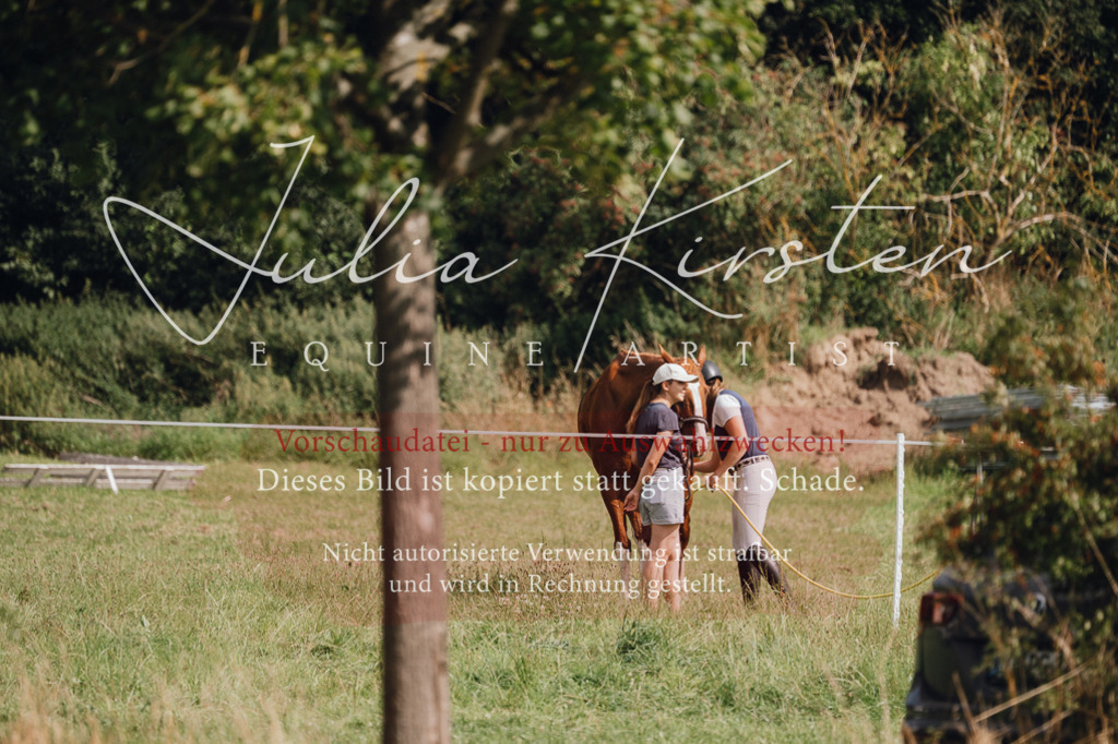 DSC_0974 | Pferde- und Turnierfotografie in Westsachsen. Pferdeportraits, Auftragszeichnungen und intuitive Kunst.