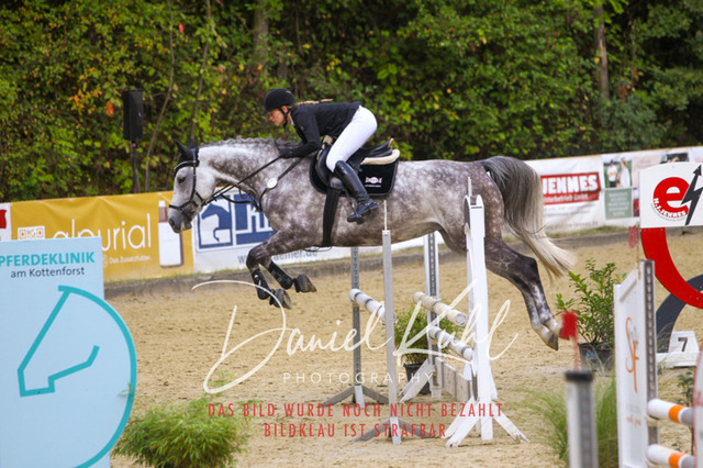 DKP40466 | Turniersportfotografie; Pferdefotografie; Dressurfotografie