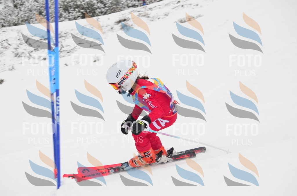 C0564 | holidayphoto