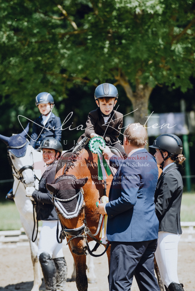 DSC_2313 | Pferde- und Turnierfotografie in Westsachsen. Pferdeportraits, Auftragszeichnungen und intuitive Kunst.