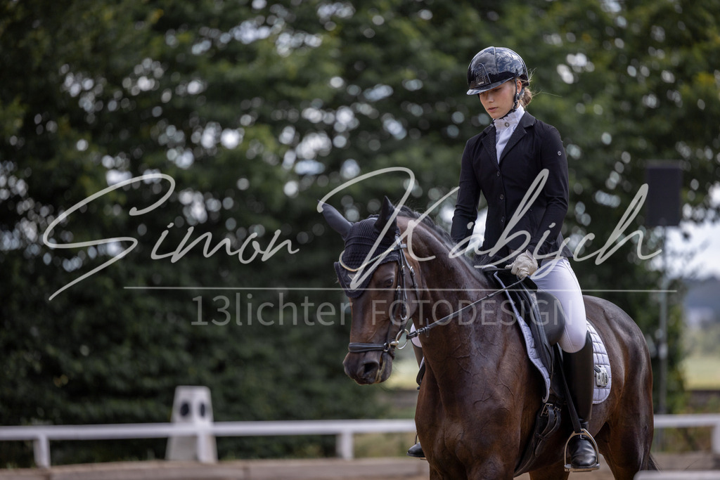 20260905-_3LI7974 | Tierfotografie Pferde, Hunde, Katzen, Haustiere.
Turnierfotografie Reitturniere, Reiten, Springreiten, Dressur in Hanau, dem Main-Kinzig-Kreis und dem Rhein-Main- Gebiet um Frankfurt
