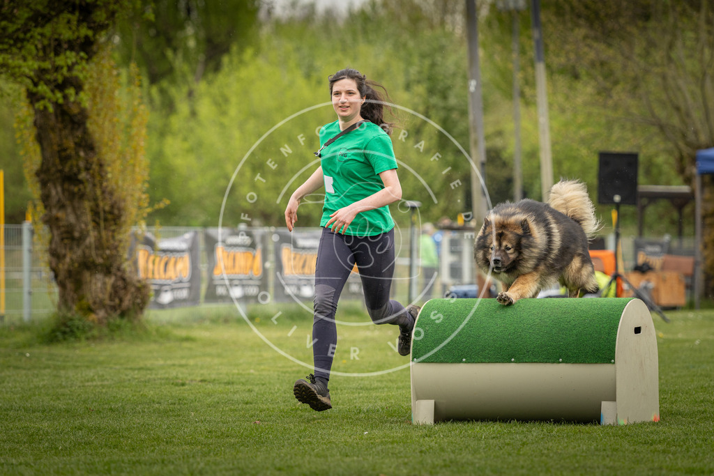 Pfotenfotografie_DV3A2942 | Hundefotografie, Tierfotograf, Pfotenfotografie, Fotoshooting Hund, Hunde Portrait, Hundesport, Hundeportraits, Heideshooting, Hunde, Sportfotograf, Hundefotograf, Turnierhundsport, THS,  - Realisiert mit Pictrs.com