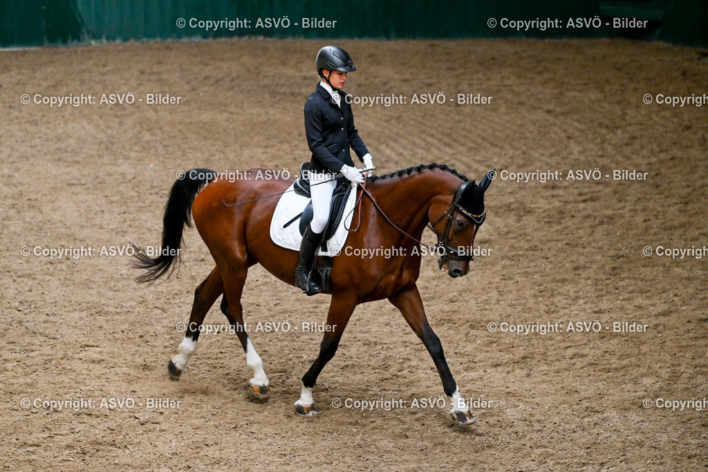 ASVÖ_ Reiten Bezirksmeisterschaft_ 24.08.2025-47 | 24.08.2025, AUT, ASVÖ, Reiten Bezirksmeisterschaft 2025Dressur und Springreiten©fodo.media / Harald Dostal - Realisiert mit Pictrs.com