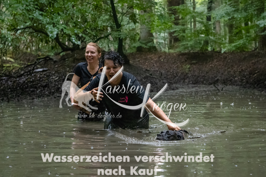 1313_ZZ91756-Bearbeitet | kk-dogfotos
