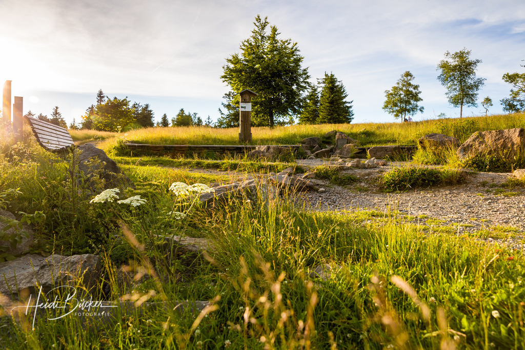 Lennequelle auf dem Kahlen Asten | Lennequelle auf dem Kahlen Asten bei Winterberg - Realisiert mit Pictrs.com