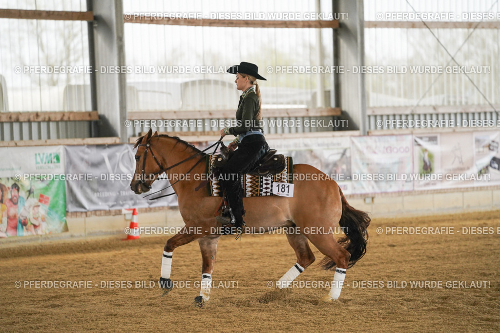 DSC07985 | Pferdegrafie