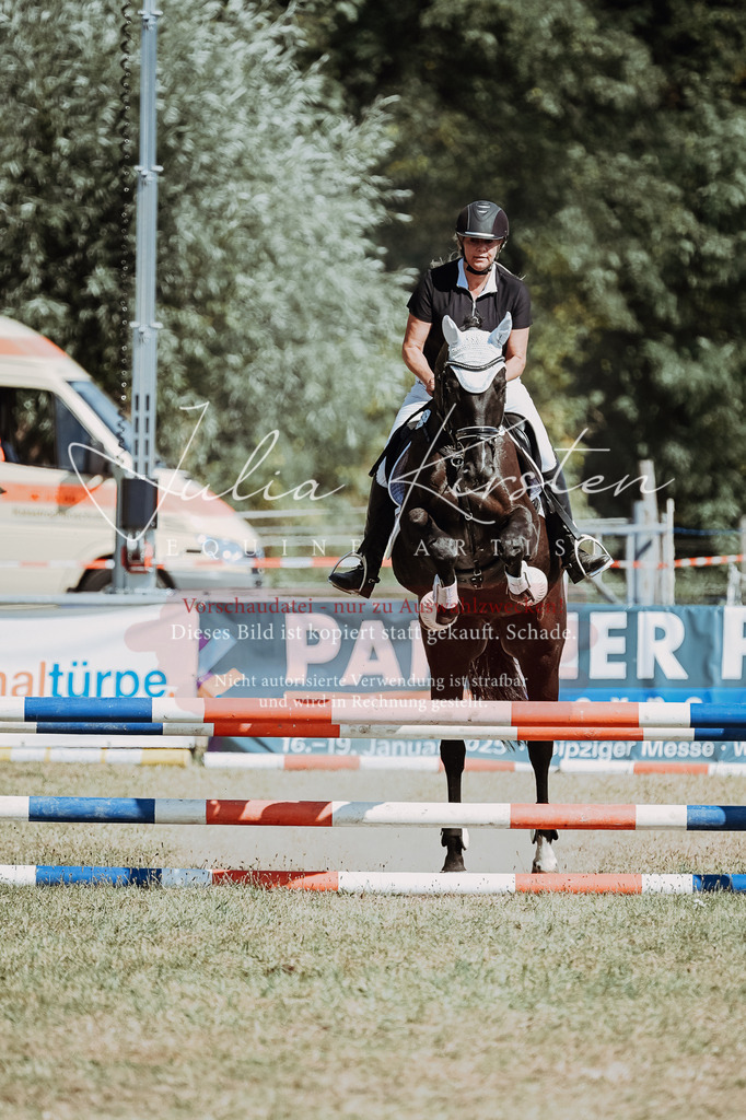 DSC_9718 | Pferde- und Turnierfotografie in Westsachsen. Pferdeportraits, Auftragszeichnungen und intuitive Kunst.