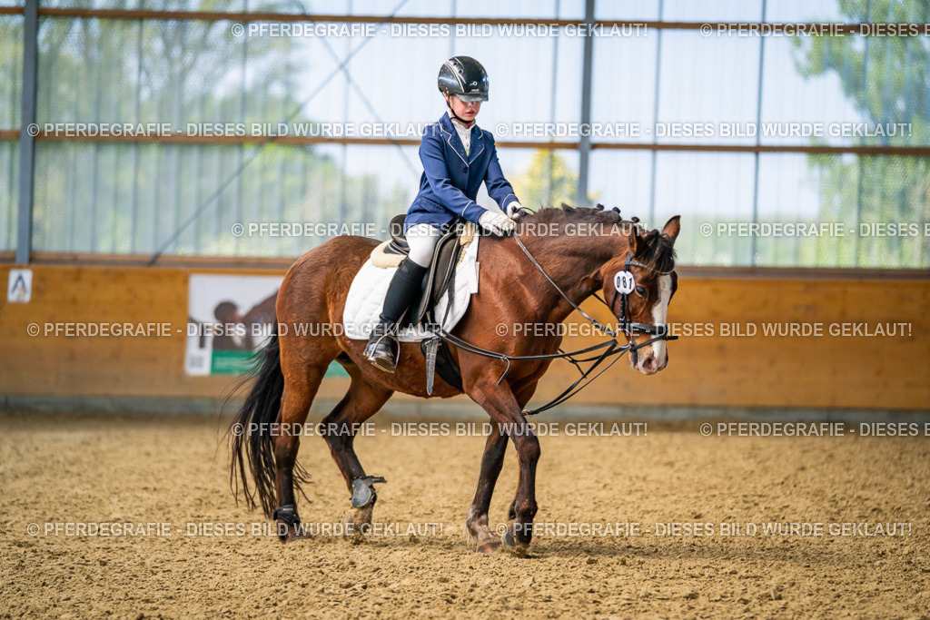 DSC02686 | Pferdegrafie