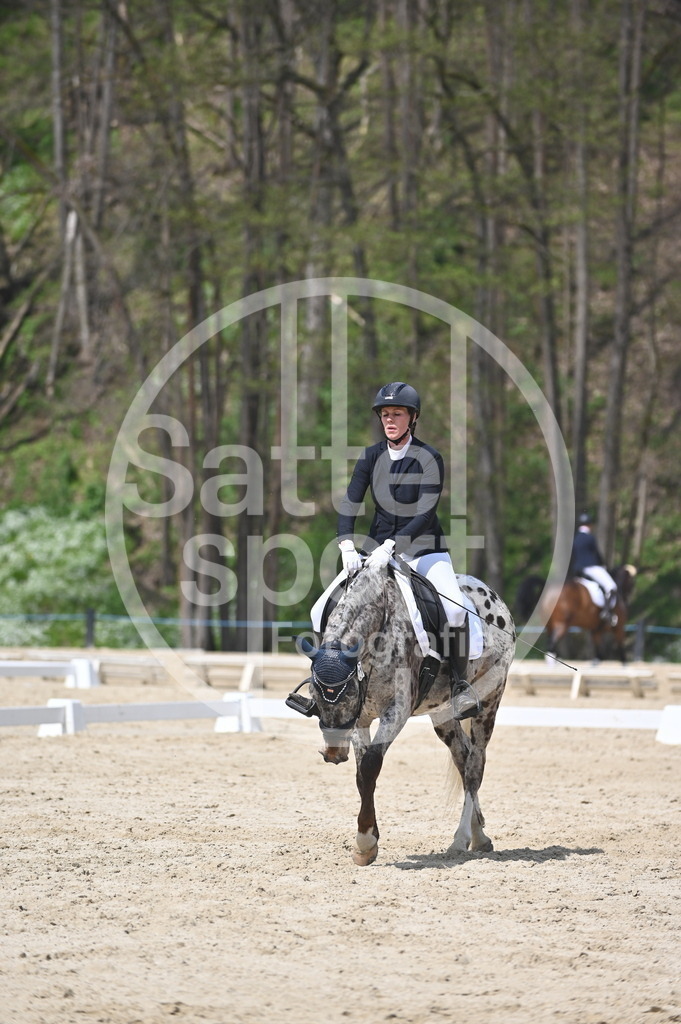 DSC_2320 | sattelsport - Realisiert mit Pictrs.com