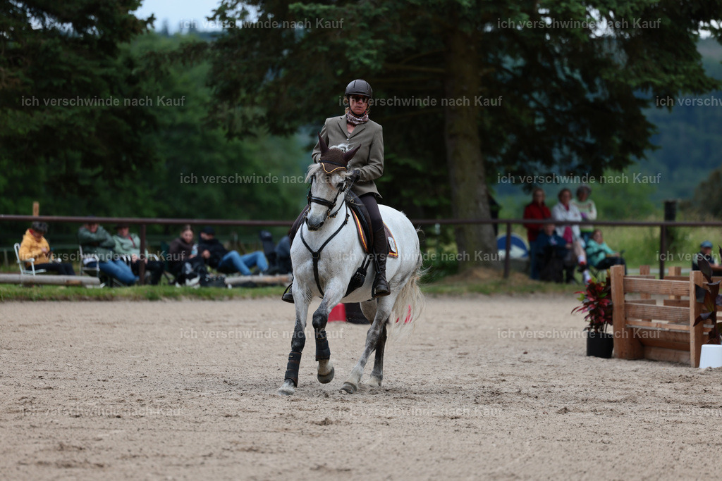 Masterclass_stoibphotography_C2_L6653.JPG | working equitationturnier fotograf videograf stoibphotography marixx film working equitation deutschland reitsport turnierfotografie eventfotografie equestrian events