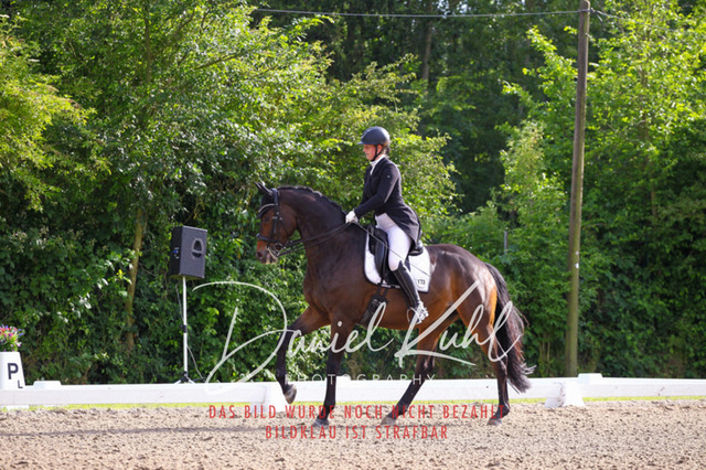 DKP41650 | Turnierfotos kaufen im Webshop von Daniel Kuhl Photography – entdecke professionelle Reitsportfotos aus Turnieren & Events. Hochwertige Turnierbilder online bestellen & sichern. Jetzt Fotos von Reitsportturnieren kaufen!