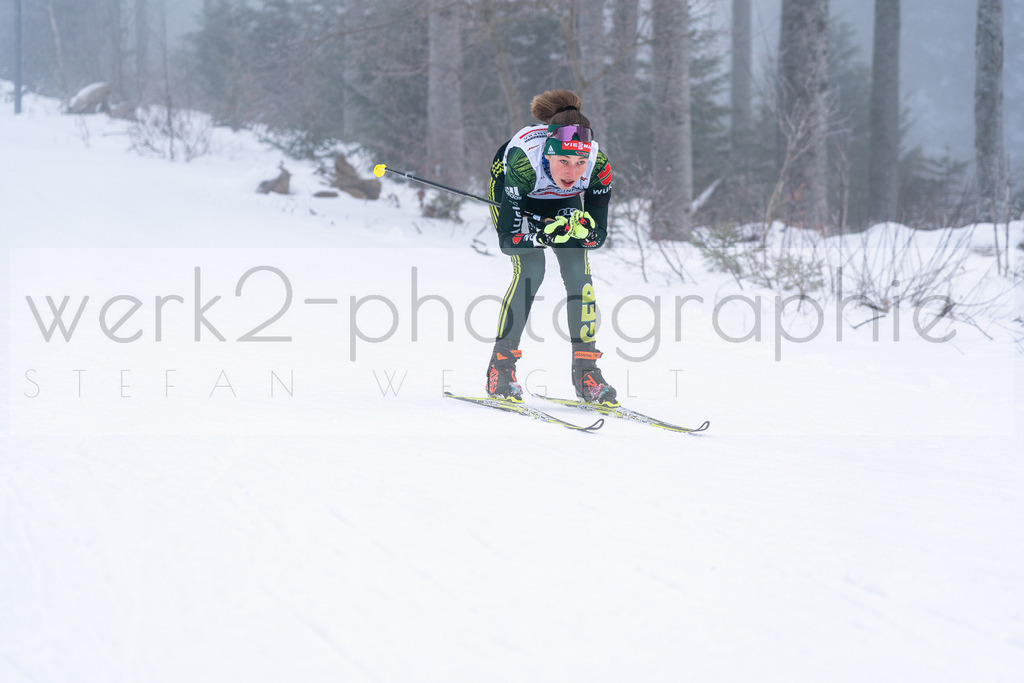 DSC Arber | Bayerischer Wald am 15. und 16. Januar 2022