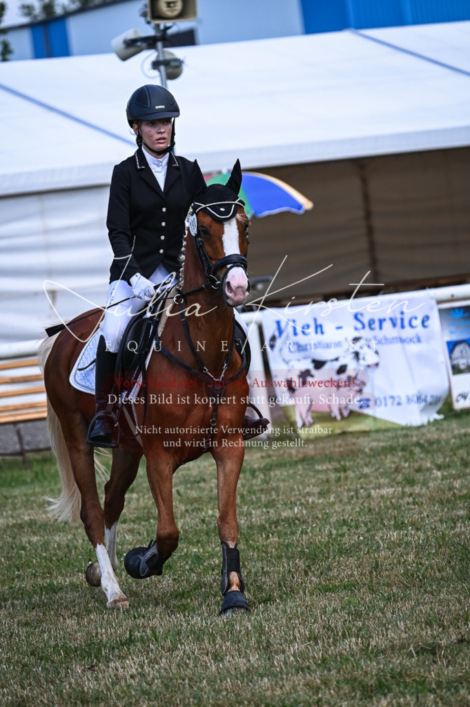 DSC_8072 | Pferde- und Turnierfotografie in Westsachsen. Pferdeportraits, Auftragszeichnungen und intuitive Kunst.